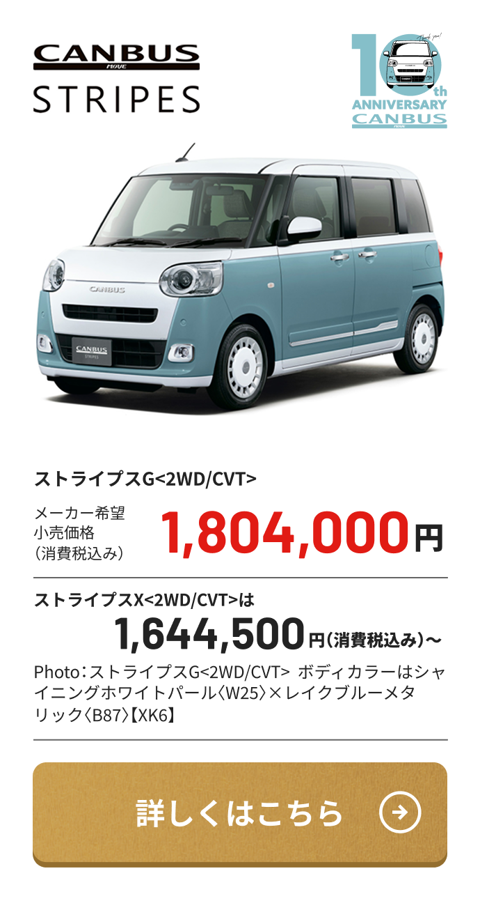 CANBUS STRIPES